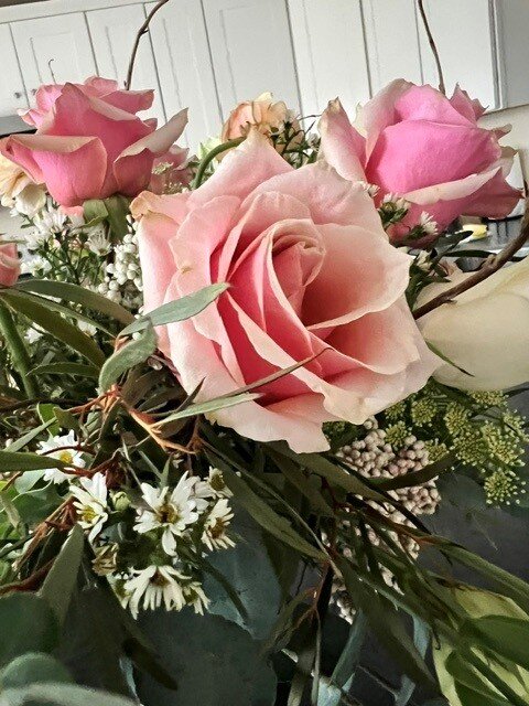 Close-up of pink roses with greenery